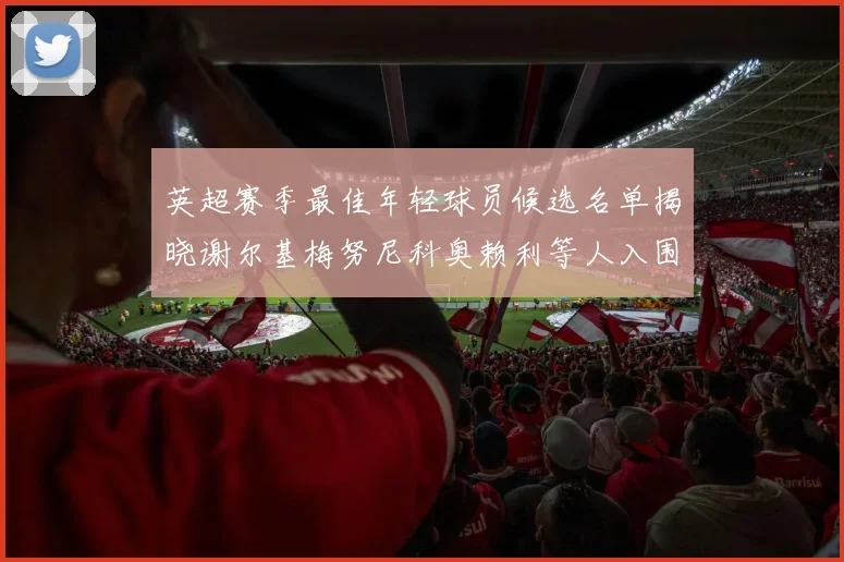 英超赛季最佳年轻球员候选名单揭晓谢尔基梅努尼科奥赖利等人入围