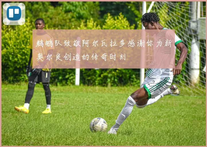 鹈鹕队致敬阿尔瓦拉多感谢你为新奥尔良创造的传奇时刻