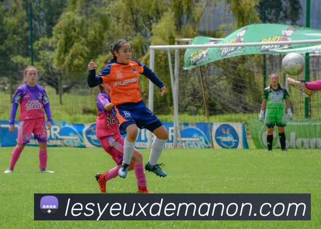 平台展示图